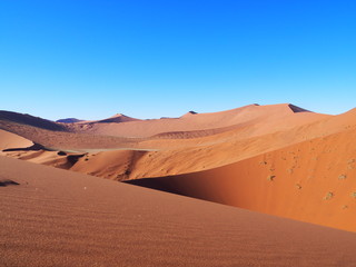 Fototapeta na wymiar Big daddy Namib desert