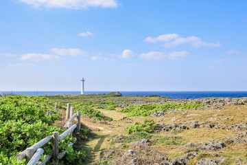 Fototapeta na wymiar landscape of cape zanpa park in Okinawa
