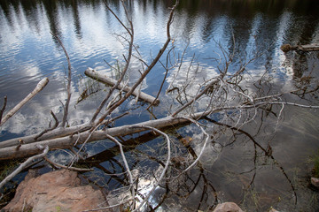 Pond Reflections, Uinta Mountains, Utah