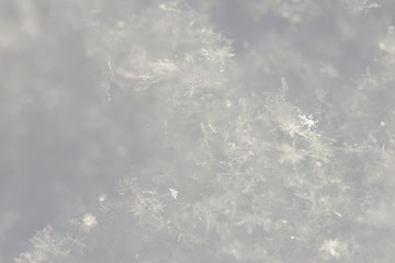 Snow close up.
