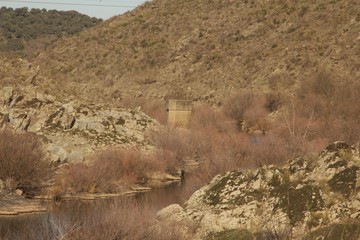 siega verde naturaleza 