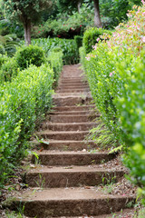 Fototapeta na wymiar Small stone staircase in a garden. Madeira, Portugal