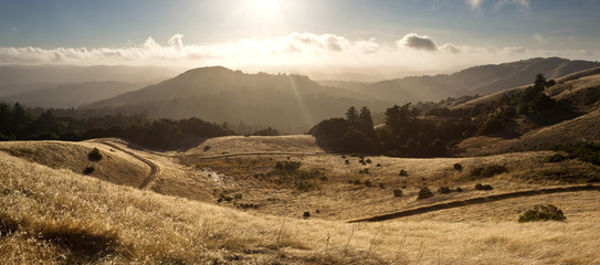 In California's Santa Cruz Mountains, moisture flows in from the Pacific Ocean in Late Summer - Powered by Adobe