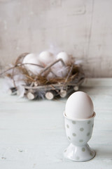 Chicken white eggs in the Nest with feathers on light background