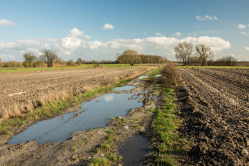 Large puddle on a dirt road through plowed fields