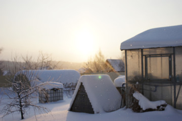 Garden in the winter. Snowfall and sun.