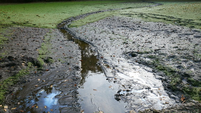 Contaminated empty pond with oil and mud.