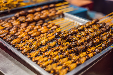 Grill and fried silkworm pupae on stick from Wangfujing street at Beijing, China