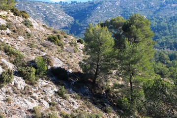 paysages de Cézanne