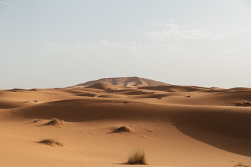 Fototapeta na wymiar dunes in desert