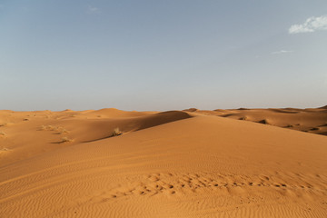 Fototapeta na wymiar sand dune in desert