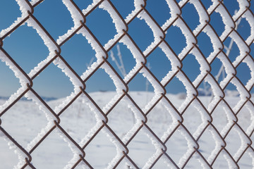 Fototapeta premium Frozen Iron Grate