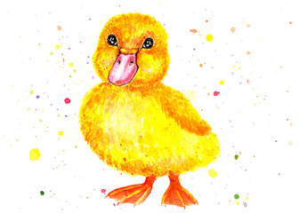 Little duckling. Watercolor illustration.
Yellow duckling. Children illustration. Illustration for design, decor.