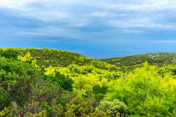 Greece, Zakynthos, Typical untouched hilly green nature landscape and blue ocean