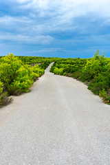 Greece, Zakynthos, Driving along the perfect road between green nature