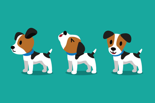 jack russell cartoon images