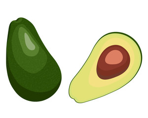 vector illustration of a ripe avocado