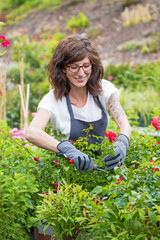 Gärtnerin lächelnd beim Rosenschnitt