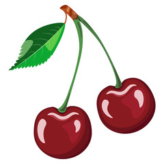 vector illustration of two cherries