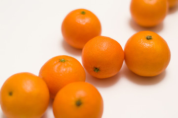 tangerines on a white background