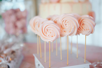 Homemade candies meringue on stick Meringue candy on wooden stick. Festive sweet table for children. Candy Bar