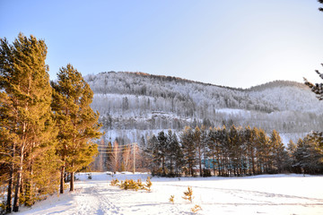 winter landscape with river and trees in winter
