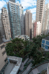 Obraz na płótnie Canvas Dense building with tree in between highrise in Sai Ying Pun