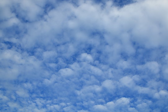 blue sky and white cloudy , beautiful heaven scene , Altocumulus pattern texture background .
