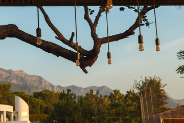 Original lighting lamps hang on long wires against the background of a large pine branch and a blue sunset sky
