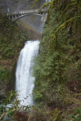 Fototapeta premium multnomah falls, Oregon