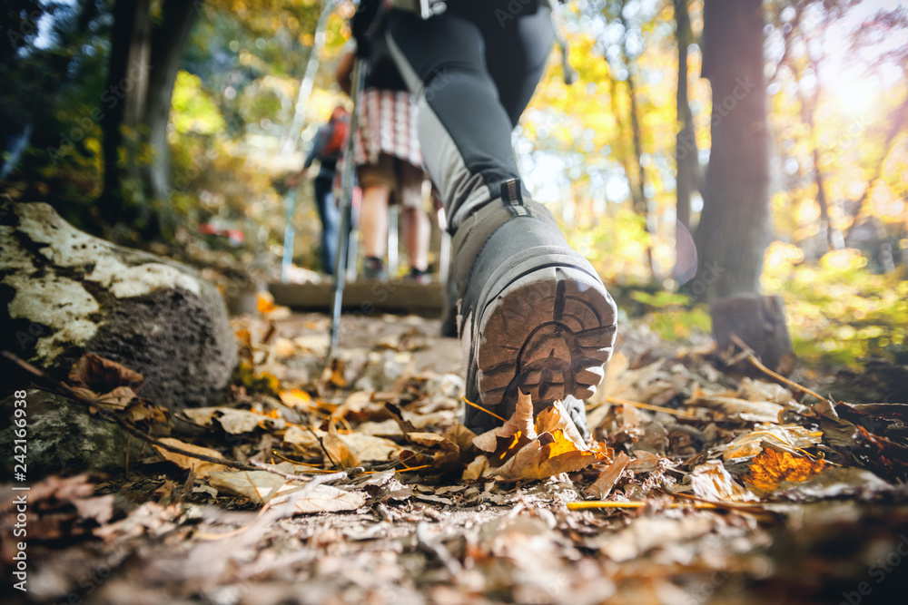 Wall mural hiker woman with trekking sticks climbs steep on mountain trail, focus on boot