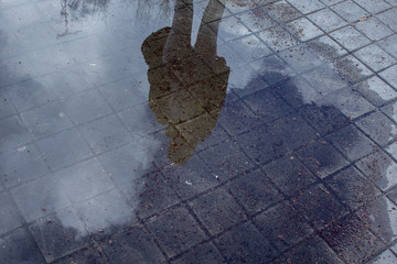 reflection of a young woman on a puddle in the street