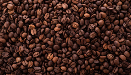 Panoramic close up of roasted Arabica coffee beans. Textured background of aromatic roasted coffee beans