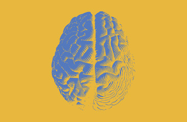 Blue engraving brain on yellow BG