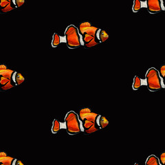 Tropical reef clown fish colorful  seamless pattern