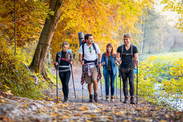 Group of hikers trekking in nature, walking through the woods