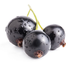 Blackcurrant isolated on white background