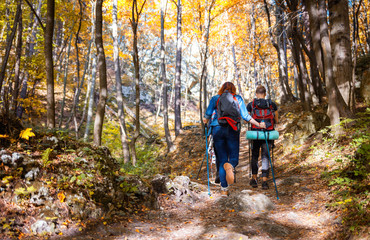 Obraz premium Group of hikers trekking in nature, walking through the woods