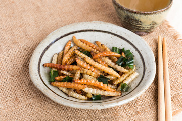 Food Insects: Bamboo worm (Bamboo Caterpillar) insect fried crispy for eating as food items in plate with chopsticks and tea on sackcloth, it is good source of protein edible for future food concept.