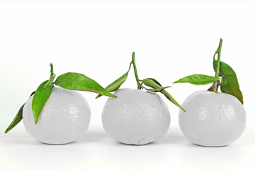 Drei weiße Mandarinen