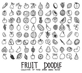 Set of Fruit icons Drawing illustration Hand drawn doodle Sketch line vector eps10