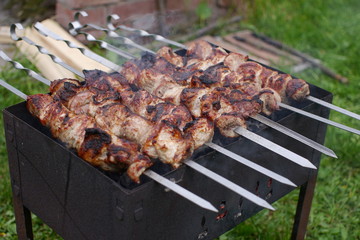 Meat on the grill