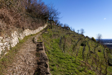 Fototapeta na wymiar Montevecchia, Lombardia