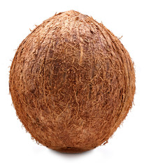 Coconut isolated Clipping Path