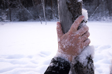 winter survive hand in the snow in the forest freezing man in the forest