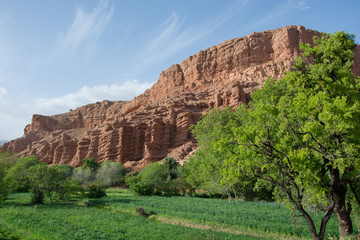 Paisaje de Marrakech, Dedos del mono