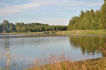 Fototapeta na wymiar nature finland