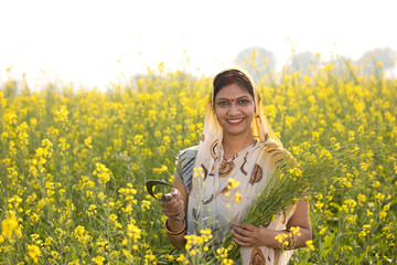 Fototapeta premium Rural Indian woman harvesting rapeseed in field
