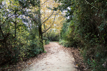 Dan Nature Reserve in Israel