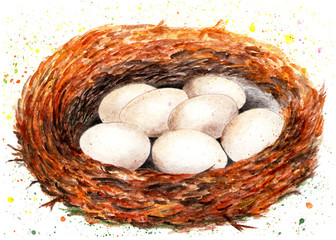 Nest with eggs. Watercolor illustration.
A bird's nest in which there are seven eggs. Illustration for design, decor.